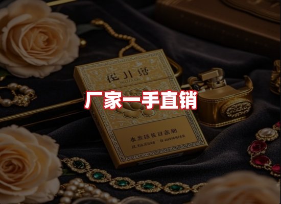 专业团队